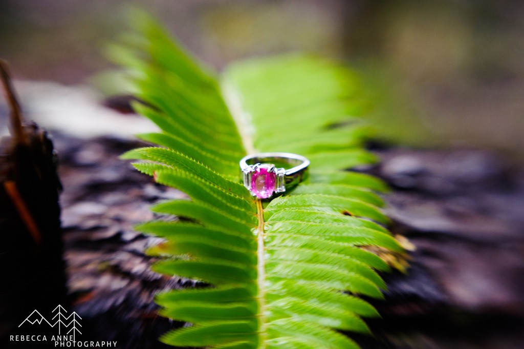Engagement ring photo on fern at Mount Rainier