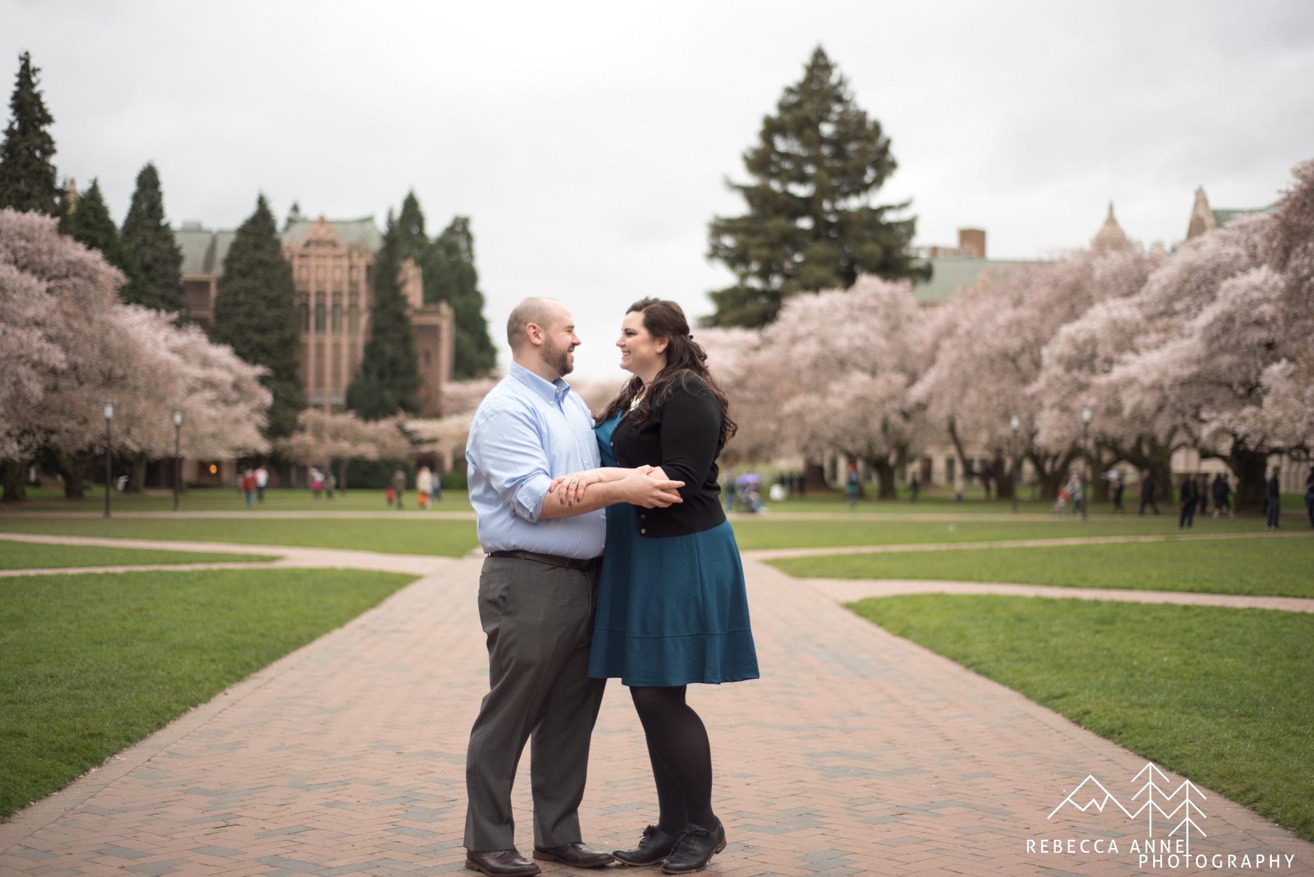 Engagement session at the University of Washington Cherry Blossoms