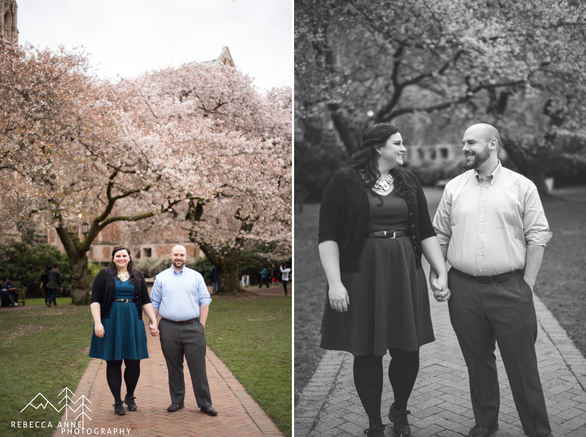 Engagement session at the University of Washington Cherry Blossoms