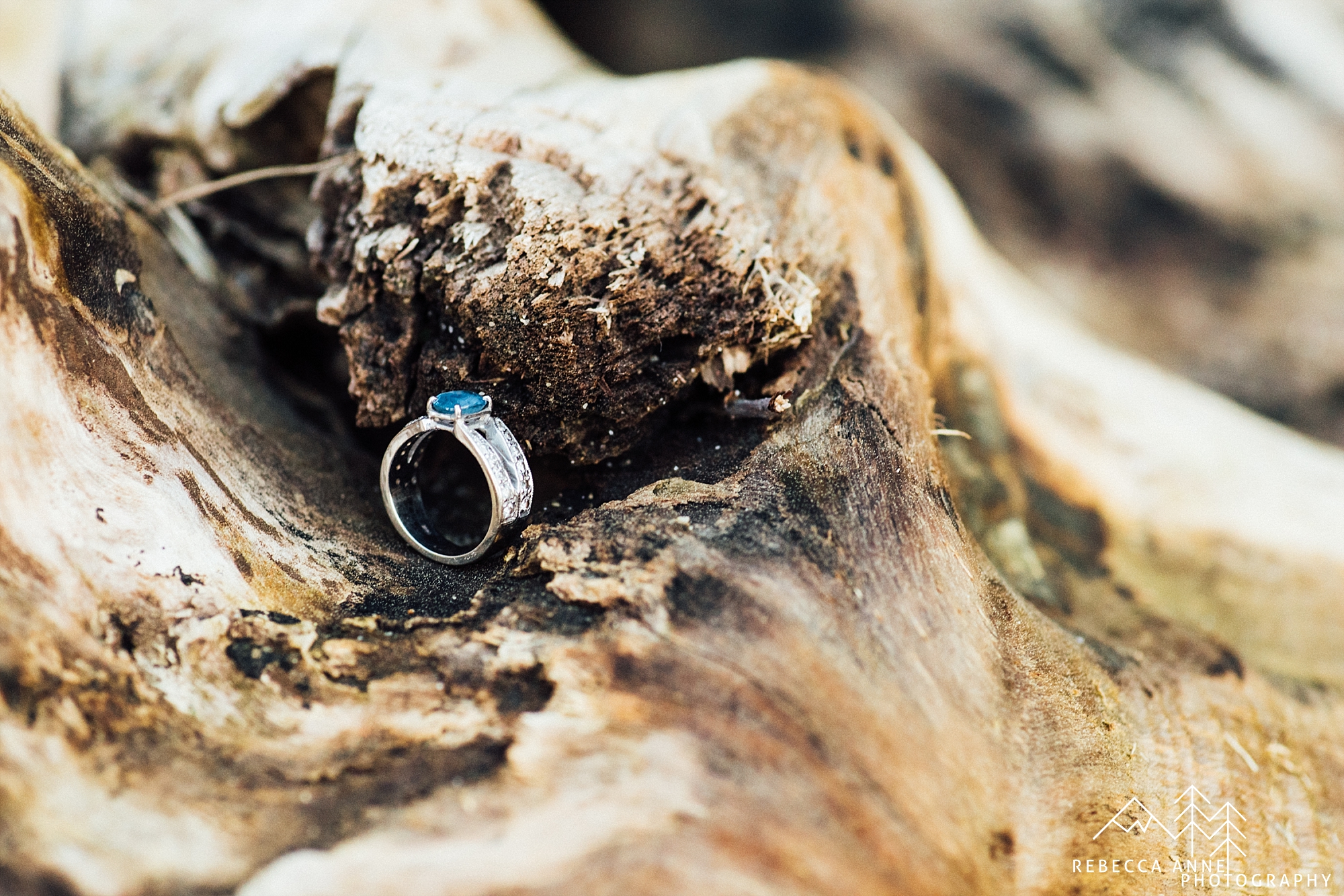 Point Defiance Park Engagement,Tacoma Engagement Photographer,Tacoma Wedding Photographer,Seattle Engagement Photographer,Seattle Wedding Photographer,Woods Engagement,Owens Beach Engagement,